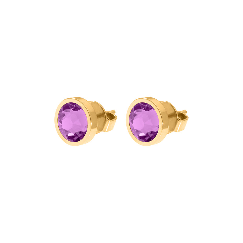 Canino Stud Earring 0.35" - Gold Crystal Orchid Ignite
