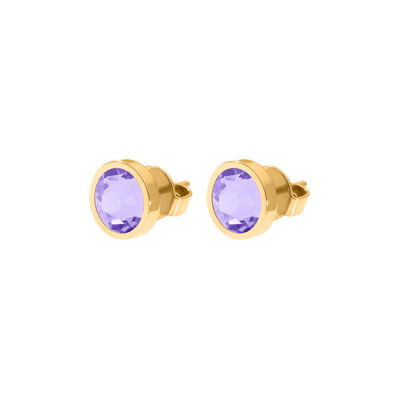 Canino Stud Earring 0.35" - Gold Crystal Purple Ignite