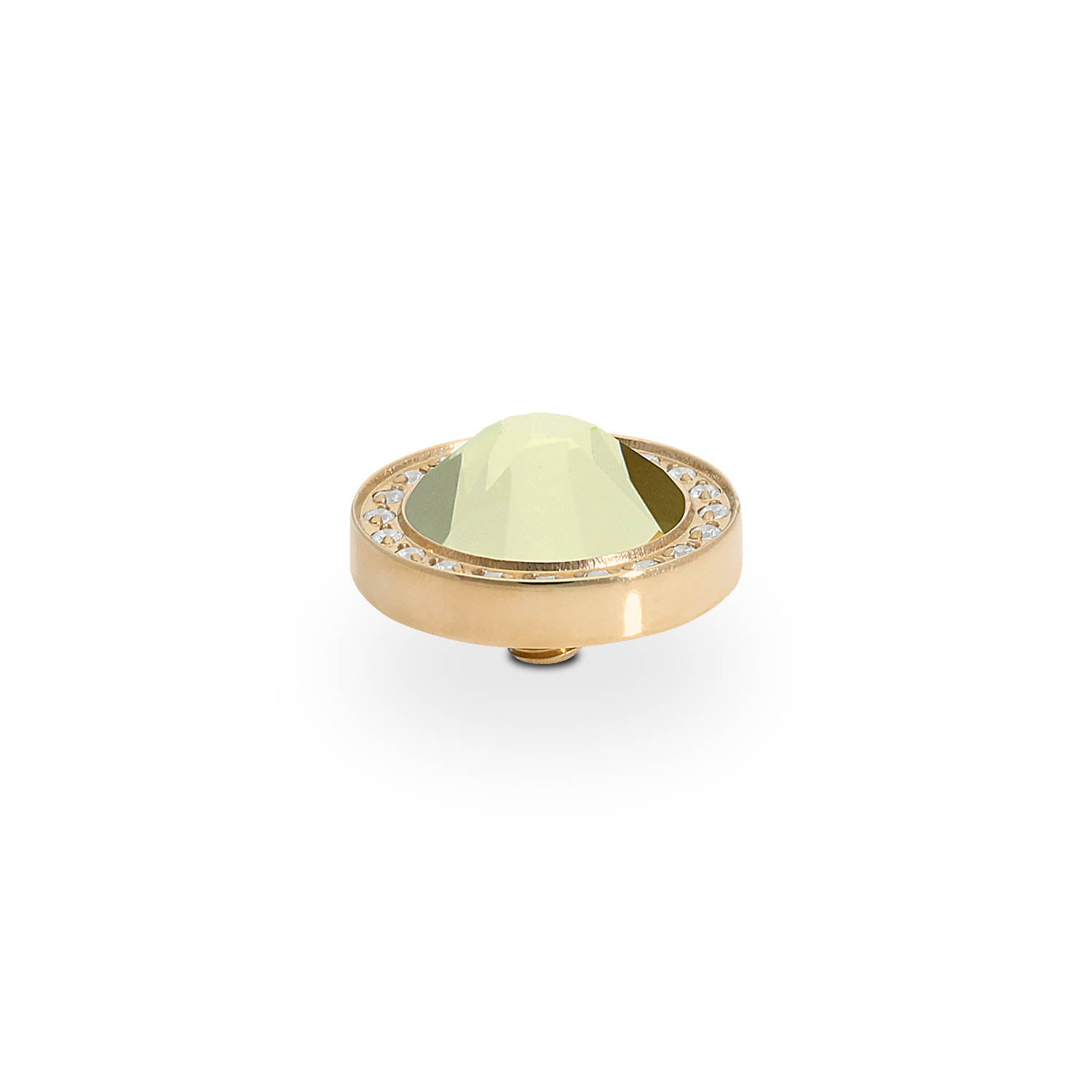 Canino Deluxe Top 0.41" - Gold Jonquil