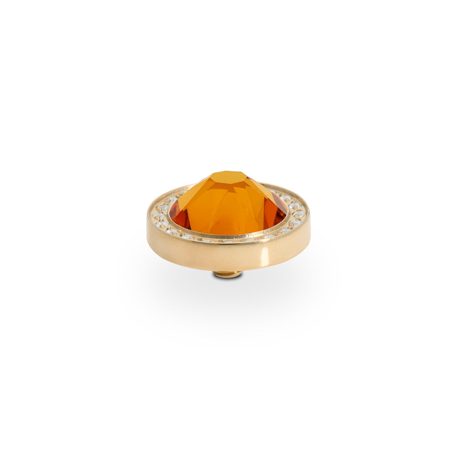Canino Deluxe Top 0.41" - Gold