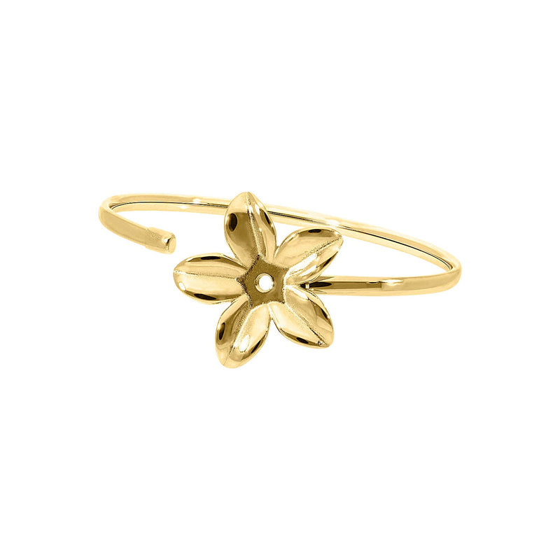 Bangle Pescia