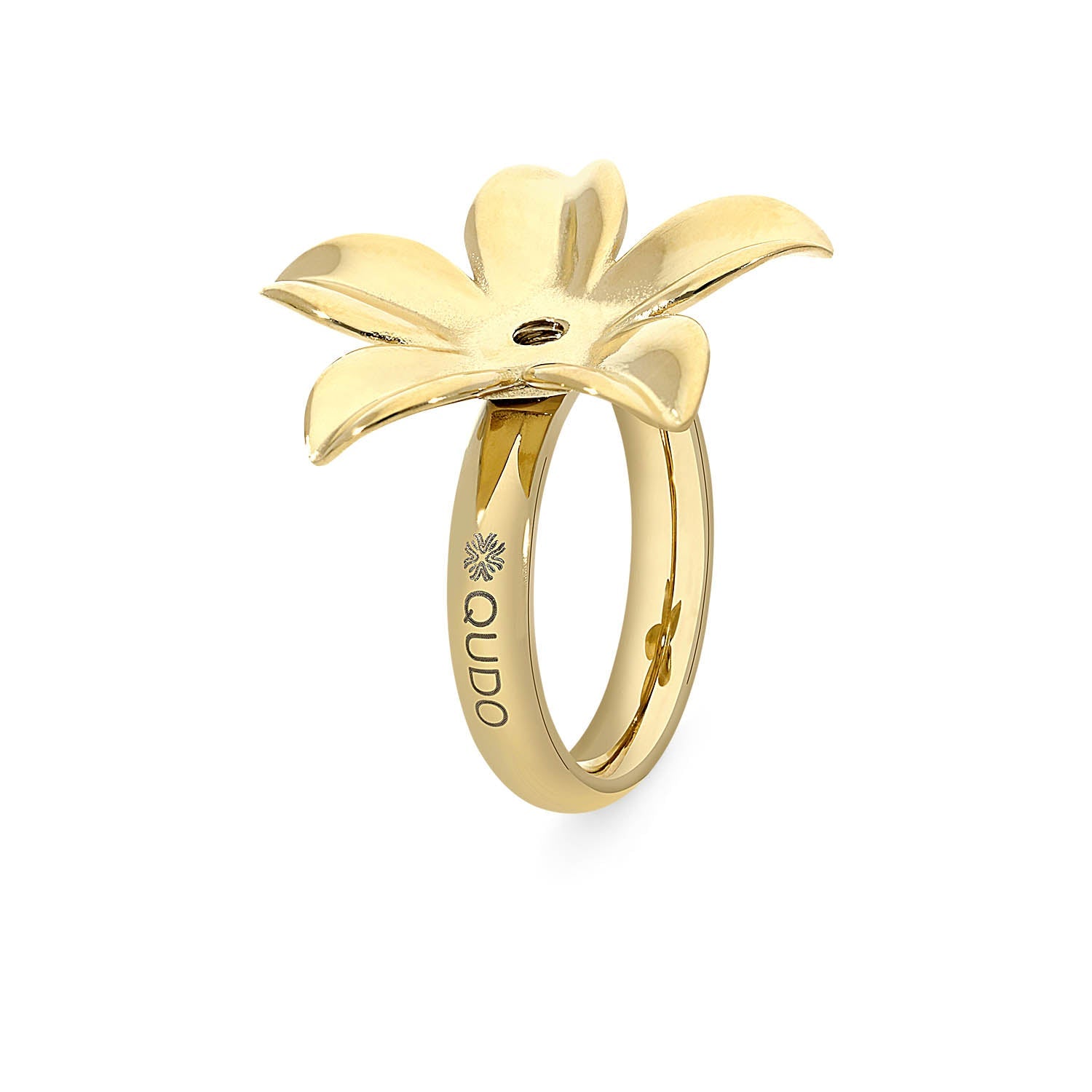 Interchangeable Rings – QUDO USA